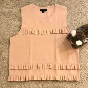 Ann Taylor Ruffled Mauve Sweater